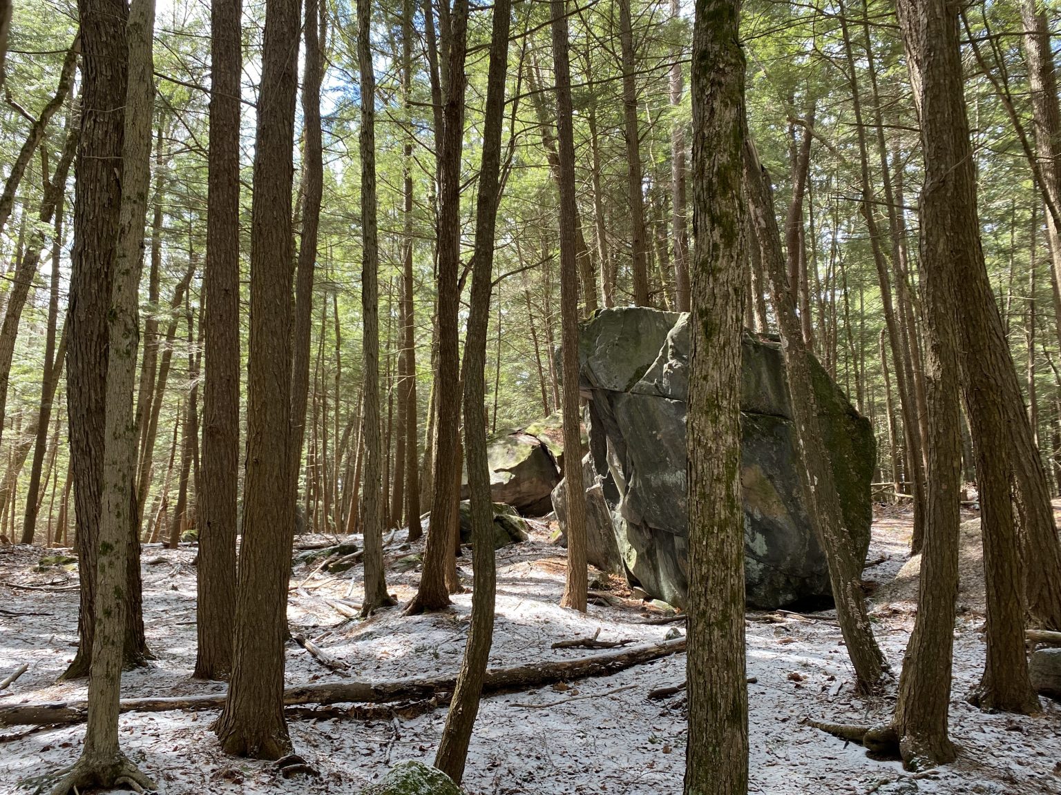Glacial Erratic, Hardy Lake