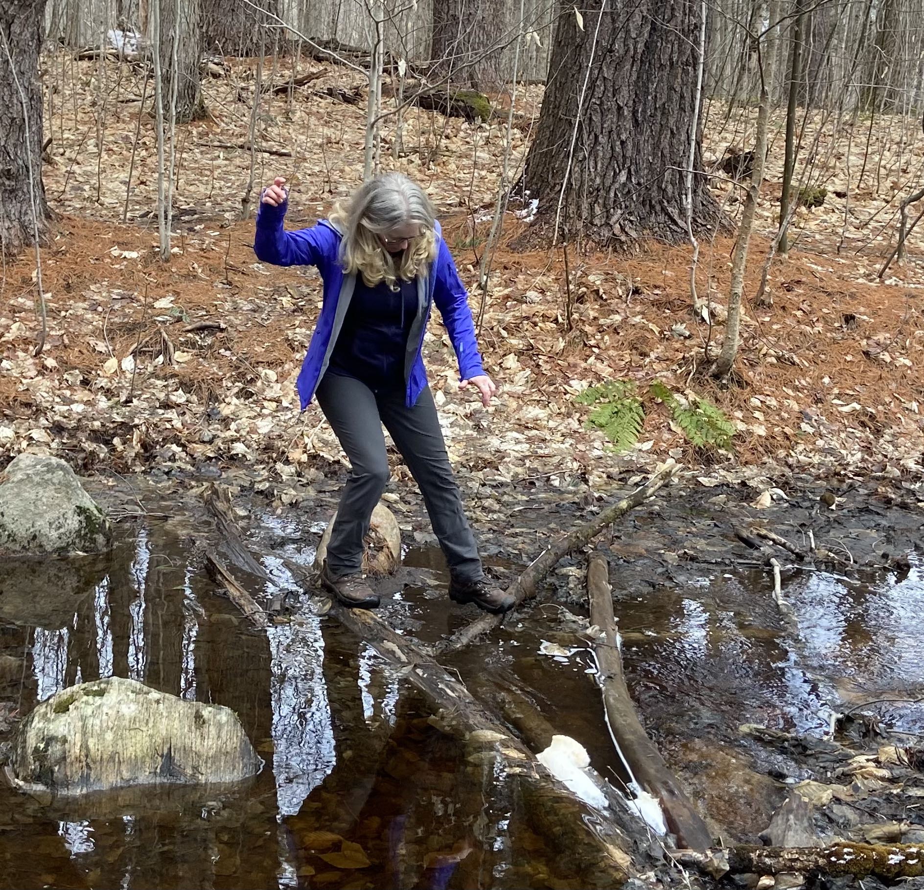Crossing the creek, Muskoka