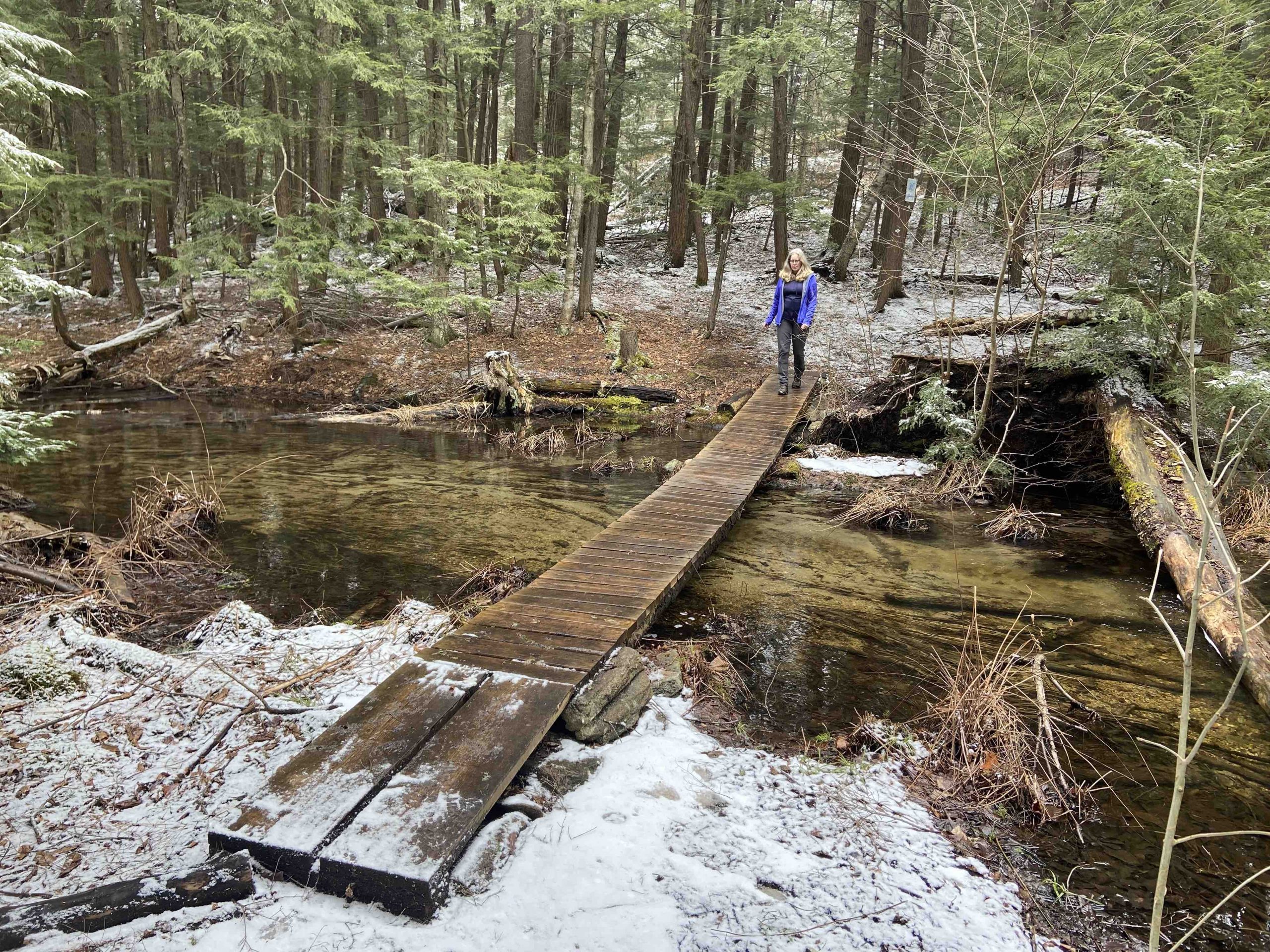 Bridge at Hardy Lake Park, Muskoka