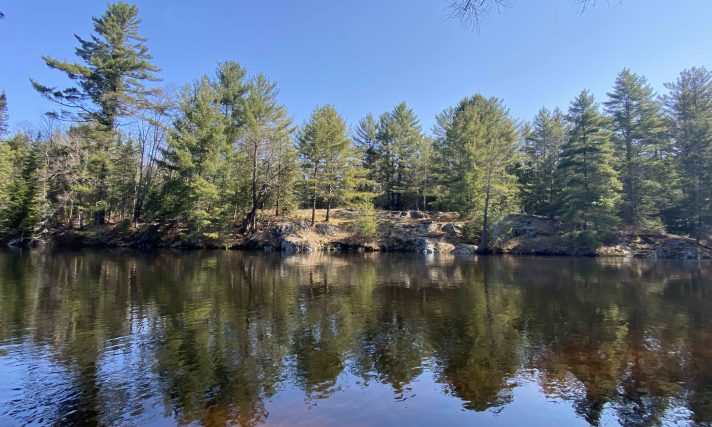 Parry Sound Real Estate | Q3 2025 Statistics for Homes & Cottages