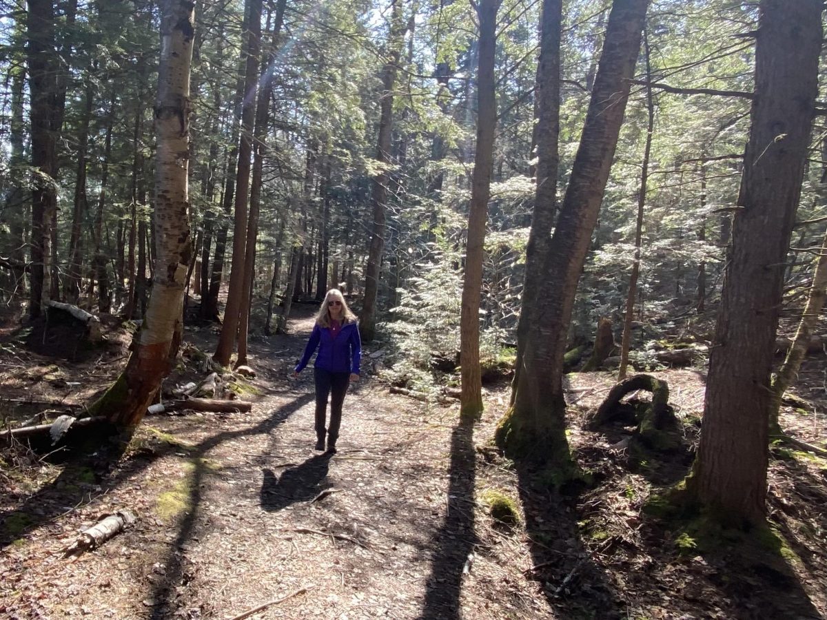 Hiking trails in Bracebridge
