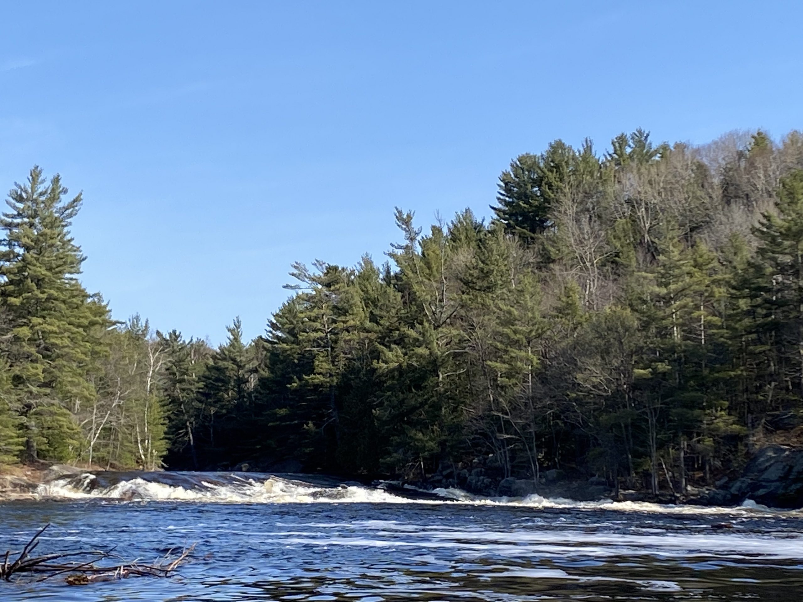 Duck Shoots, Muskoka River